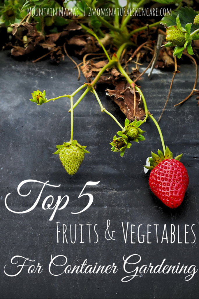 Top 5 Fruits and Vegetables for container gardening! | Mountain Mamas' | http://2momsnaturalskincare.com