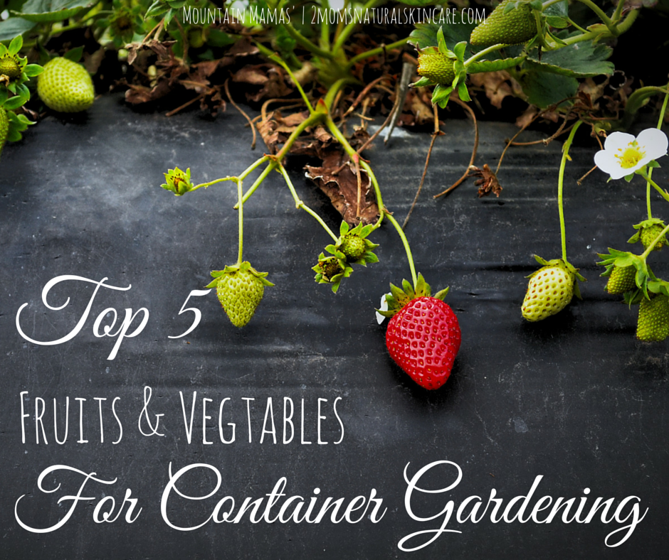 Top 5 Fruits and Vegetables for container gardening! | Mountain Mamas' | http://2momsnaturalskincare.com