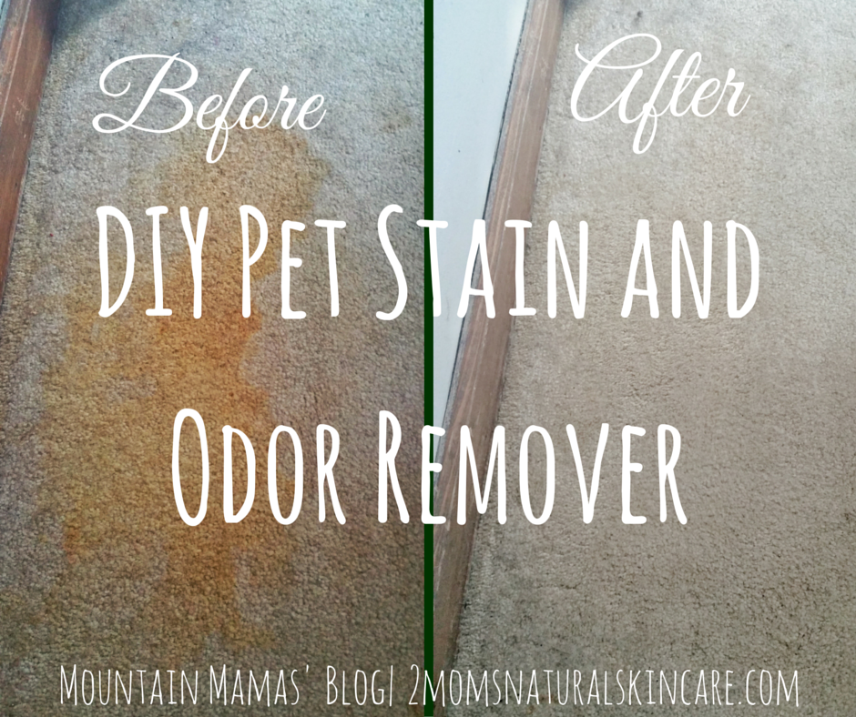 DIY Pet Stain and Odor Remover Recipe| Great for tough cat urine stains| Mountains Mamas' Blog| http://2momsnaturalskincare.com/