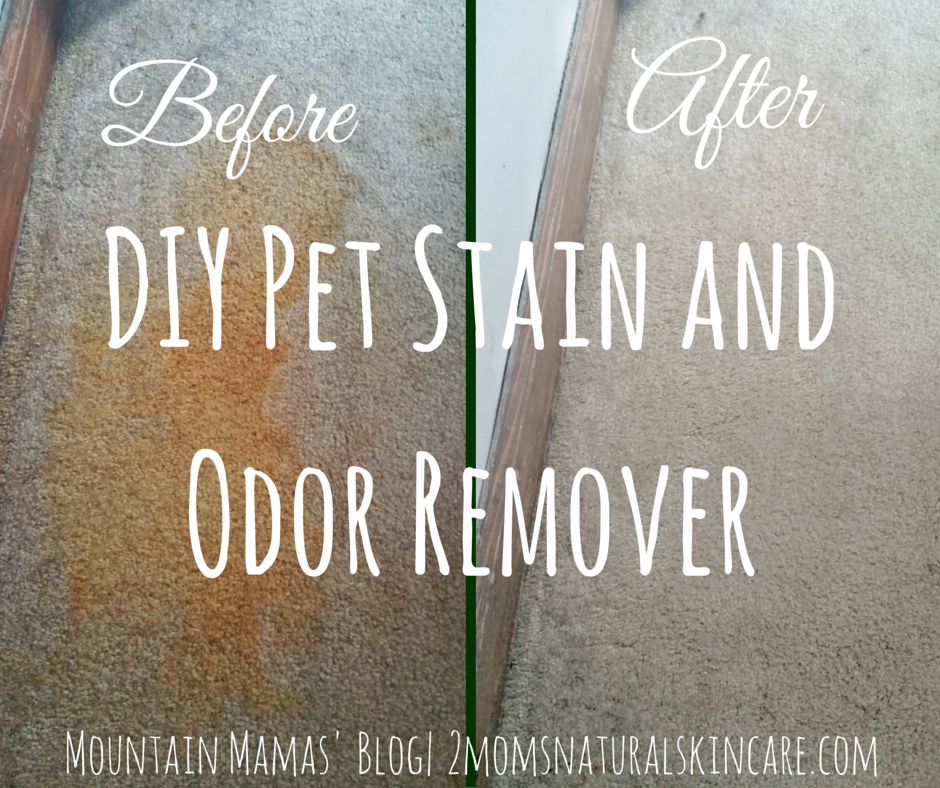 DIY Pet Stain and Odor Remover Mountain Mamas Blog