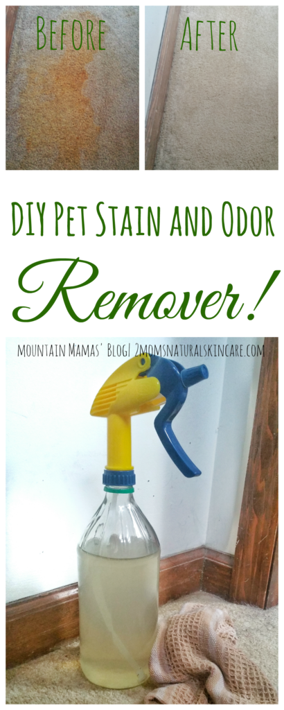 DIY Pet Stain and Odor Remover Mountain Mamas Blog