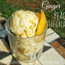 Summer Ginger Peach Ice Cream Recipe | Mountain Mamas' Blog | mntmommies.com