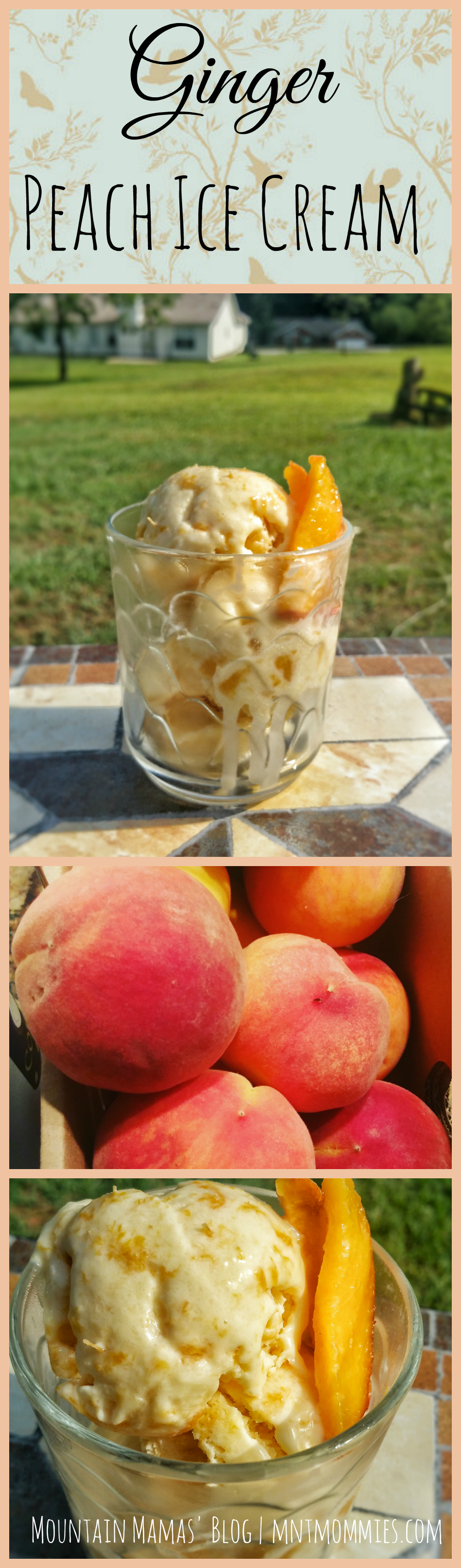 Summer Ginger Peach Ice Cream Recipe | Mountain Mamas' Blog | mntmommies.com