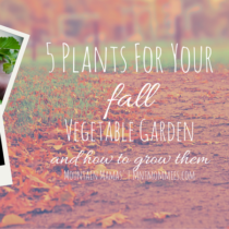5 Plants For Your Fall Vegetable Garden and How to Grow Them | http://2momsnaturalskincare.com/