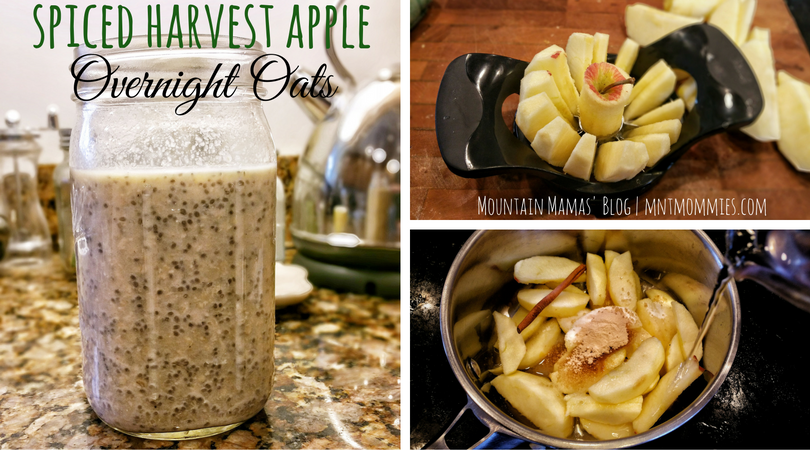 Spiced Harvest Apple Overnight Oats Breakfast Recipe | Mountain Mamas' Blog | mntmommies.com