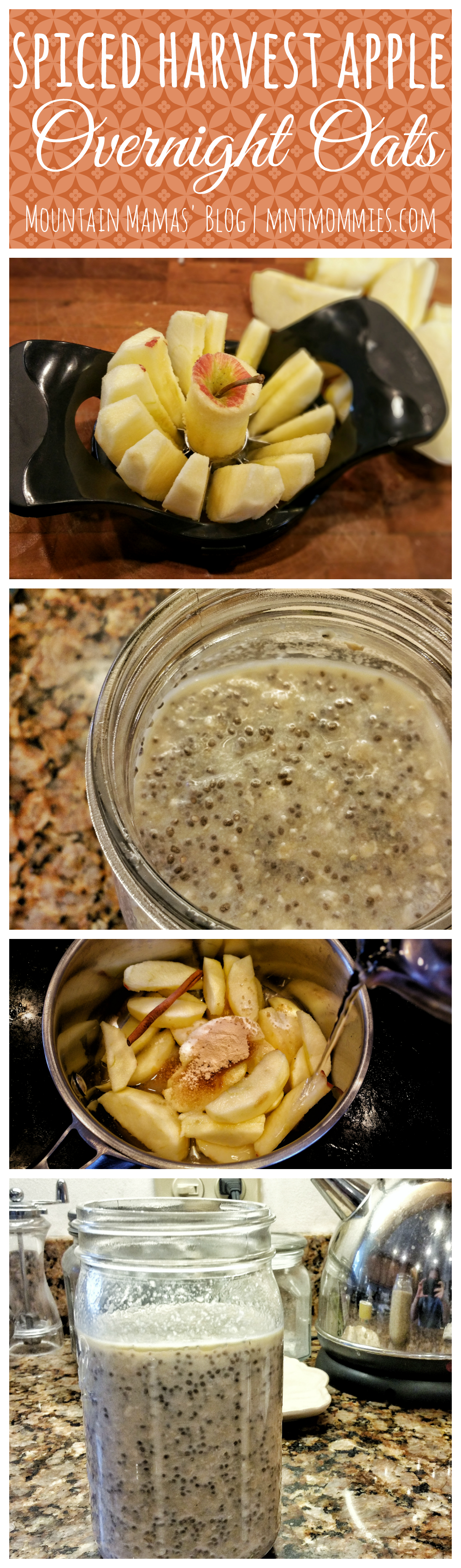 Spiced Harvest Apple Overnight Oats Breakfast Recipe | Mountain Mamas' Blog | mntmommies.com