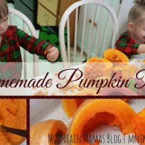 Homemade Pumpkin Puree Recipe Great for Thanksgiving, Christmas, and all Holiday Baking! | mntmommies.com