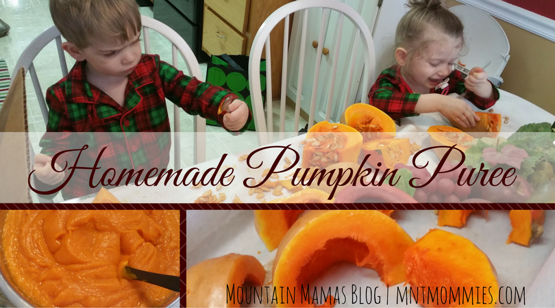 Homemade Pumpkin Puree Recipe Great for Thanksgiving, Christmas, and all Holiday Baking! | mntmommies.com