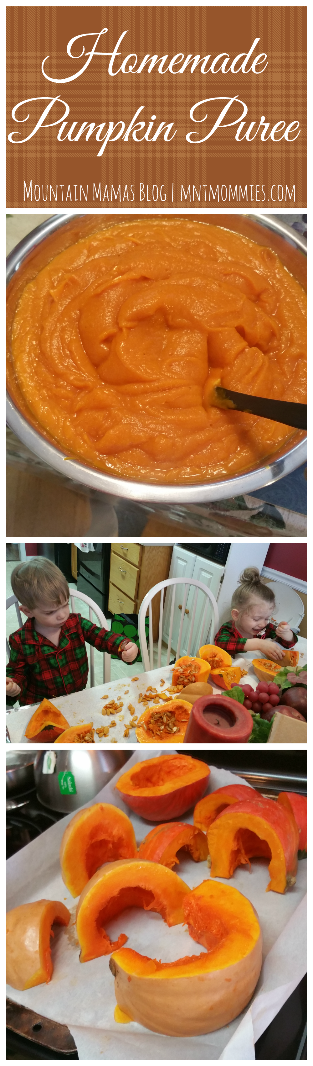 Homemade Pumpkin Puree Recipe Great for Thanksgiving, Christmas, and all Holiday Baking! | mntmommies.com