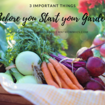 3 Important things before you start your garden | Mountain Mamas'' | mntmommies.com