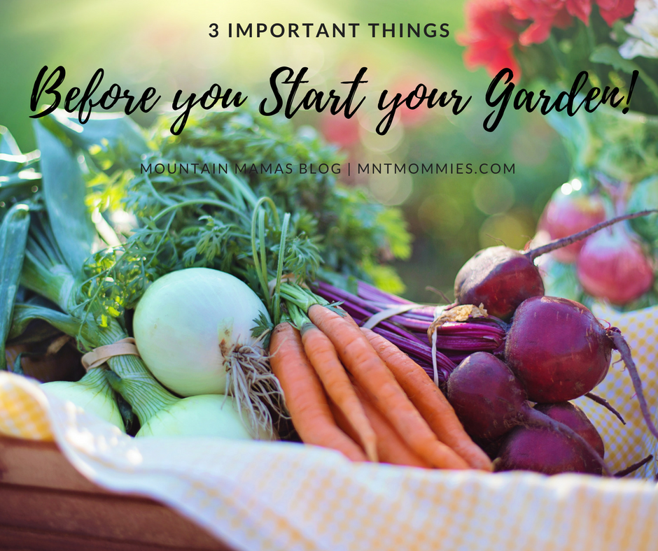 3 Important things before you start your garden | Mountain Mamas'' | mntmommies.com