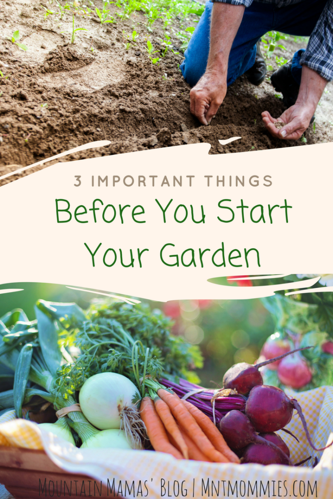 3 Important things before you start your garden | Mountain Mamas'' | mntmommies.com } #homestead #sustainable # vegetable #fruit