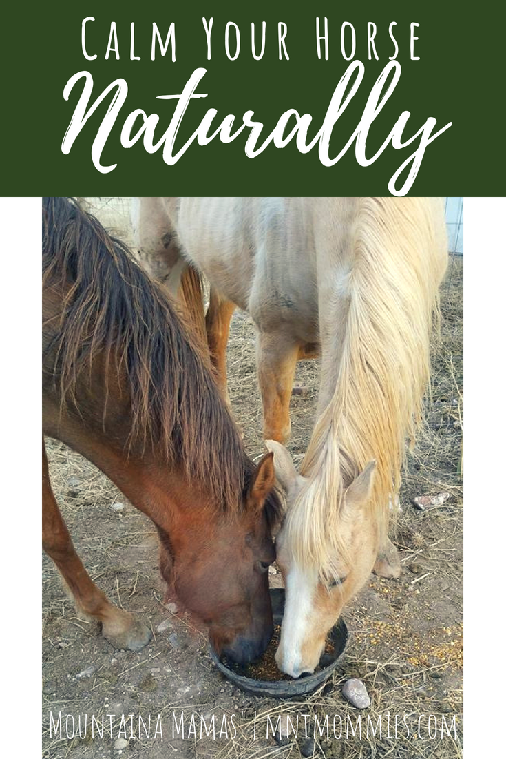 Calm Your Horse Naturally | Essential Oils For Horses| Mountain Mamas' | mntmommies.com