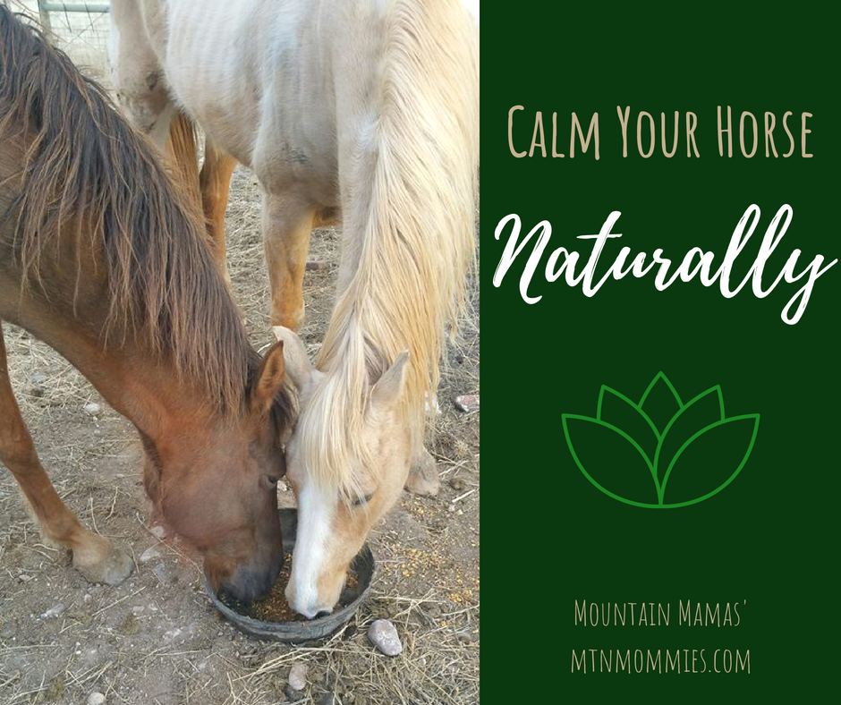 Calm Your Horse Naturally | Essential Oils For Horses| Mountain Mamas' | mntmommies.com