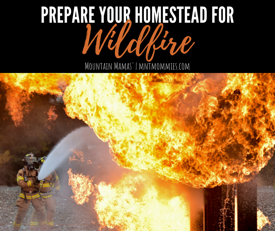 Prepare Your Homestead for Wildfire | Mountain Mamas' | mntmommies.com