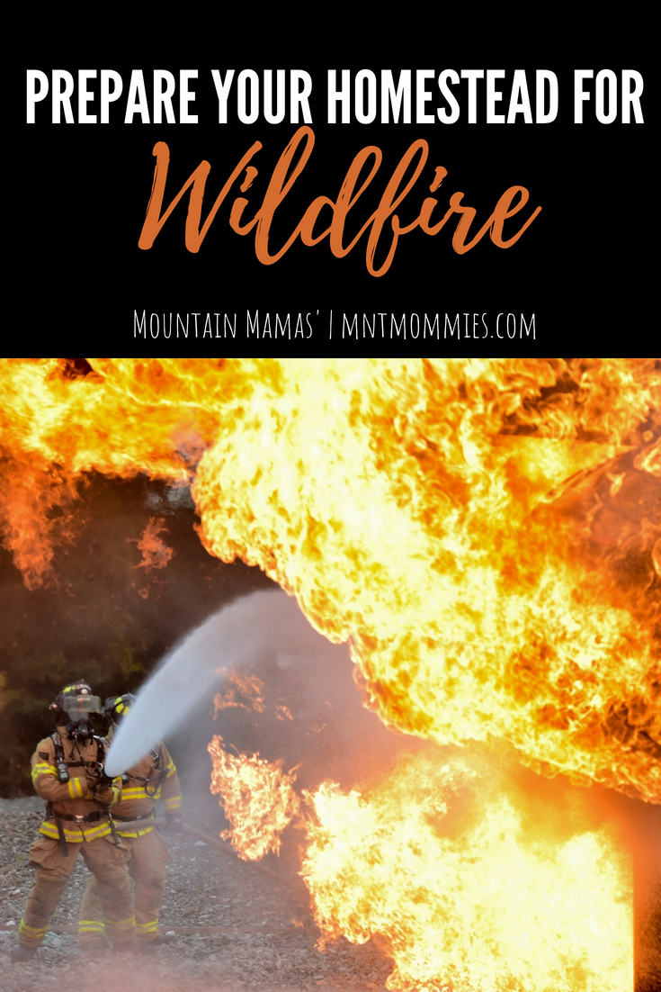 Prepare Your Homestead for Wildfire | Mountain Mamas' | mntmommies.com