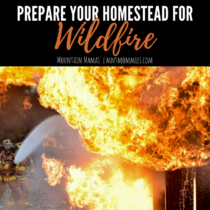 Prepare Your Homestead for Wildfire | Mountain Mamas' | mntmommies.com